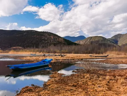 BigWins Kaszinó Mobilalkalmazás